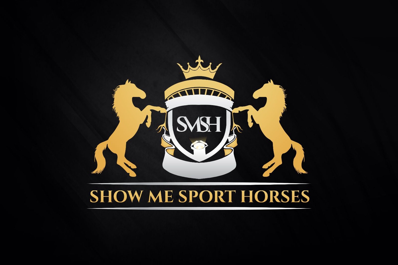 SHOW ME SPORT HORSES design project