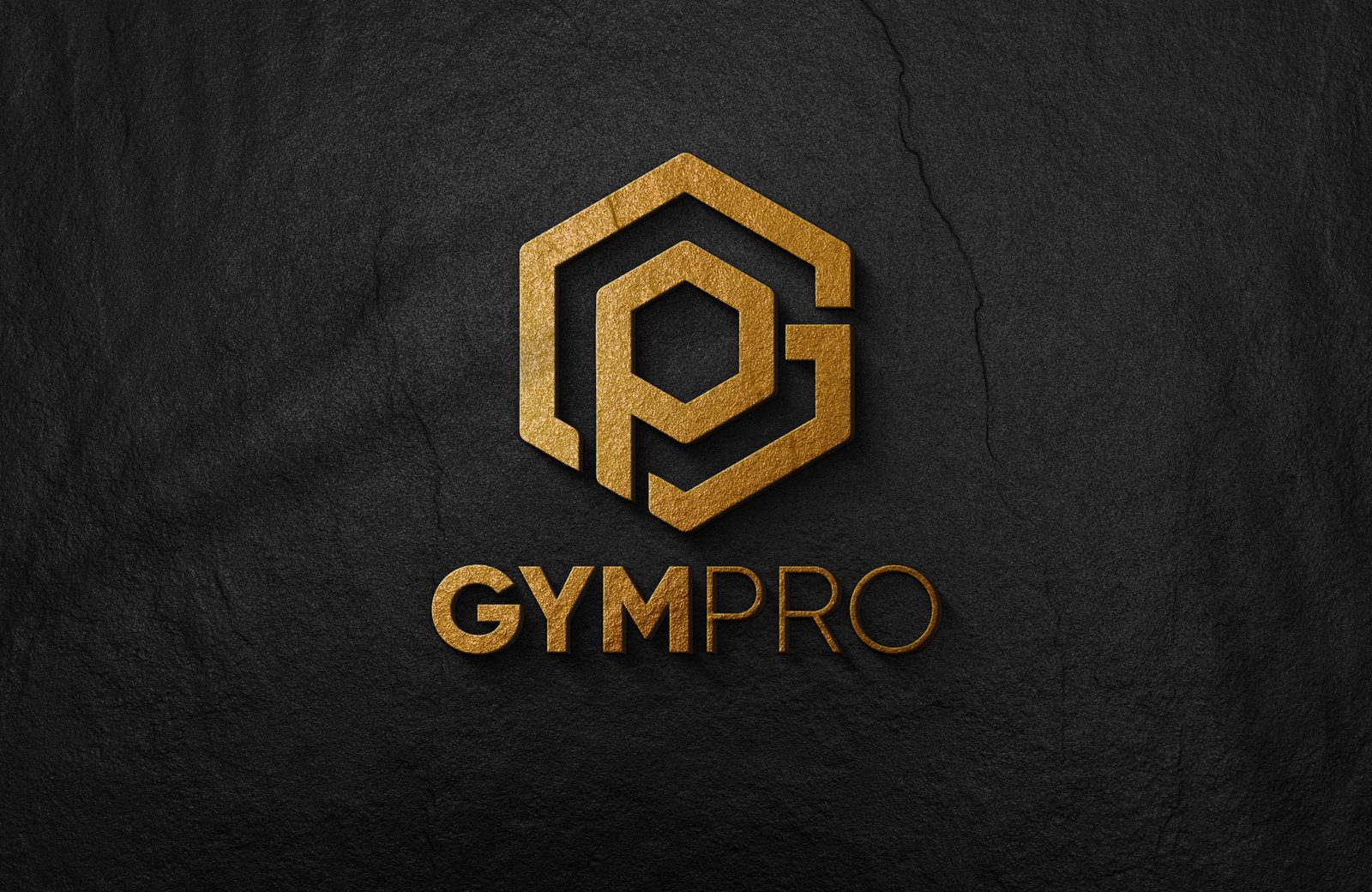 GYMPRO design project